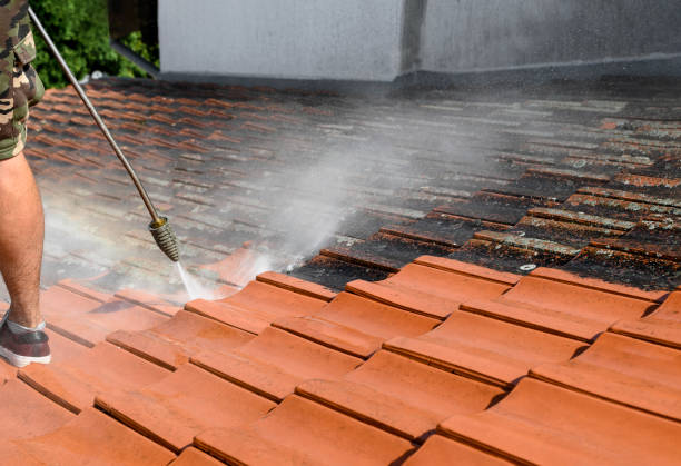 Best Pressure Washing Services Near Me  in West Wyoming, PA